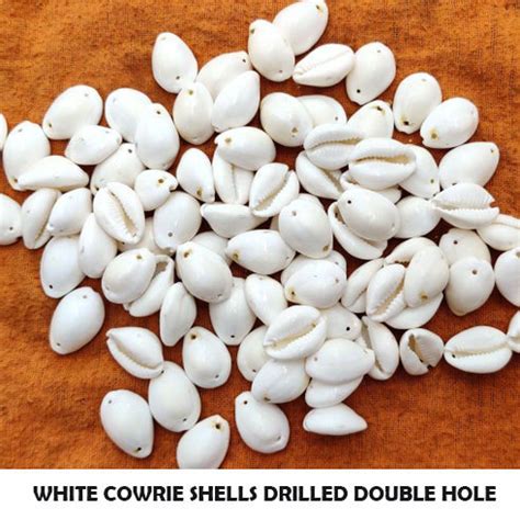 50 PIECES PACK' WHITE COWRIE SHELLS DRILLED DOUBLE HOLE – Madeinindia Beads
