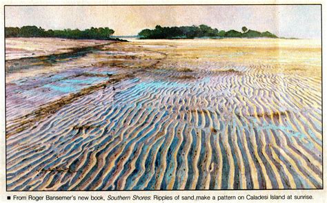 History - Bansemer Studio & Gallery of Fine Art