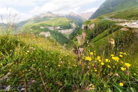 Europe Scenery 的图像结果