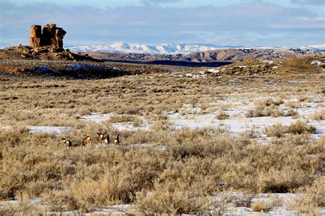 Rock Springs, WY, USA Sunrise Sunset Times