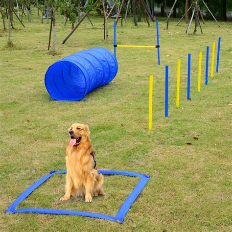 Quality Dog Agility Equipment at Janita Huang blog