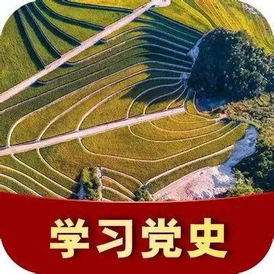 浙江丽水分行学史力行见成效助力共同富裕新征程_发展_项目_贷款