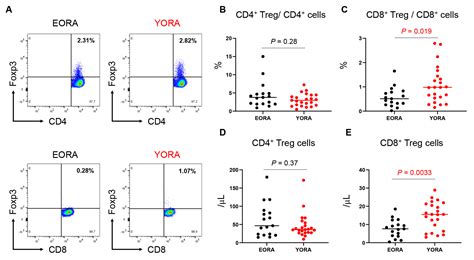 CD8+ Regulatory T Cell Deficiency in Elderly-Onset Rheumatoid Arthritis