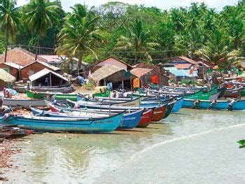 Wishing on a fishbone