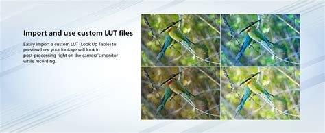 Buy Sony Alpha ILCE-6700 APS-C Interchangeable-Lens Mirrorless Camera ...