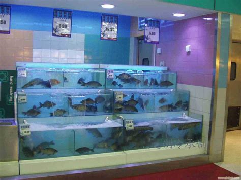 重庆鱼缸-海鲜池定做-重庆李鱼缸水族馆专业定做酒店商超大型鱼缸