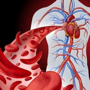 Transformium Nutrition Heart Revive Nattokinase 2000 FU + COQ10 ...