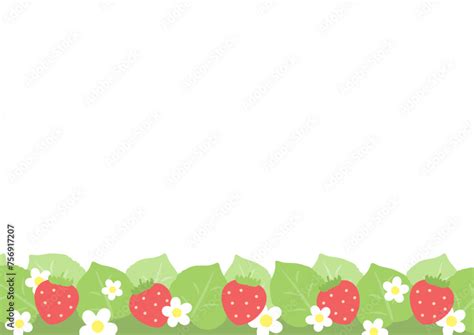 Image result for How Make Android App From Scratch Website