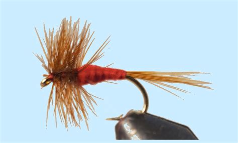 Image result for Feature Program Red Variant