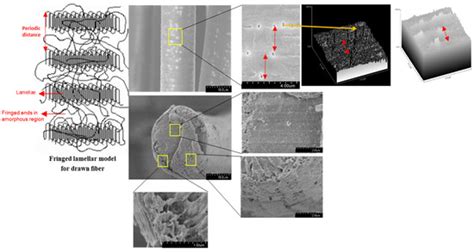 Hydrolytic Degradation of Polylactic Acid Fibers as a Function of pH ...