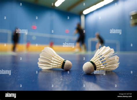 Playing Badminton 的图像结果