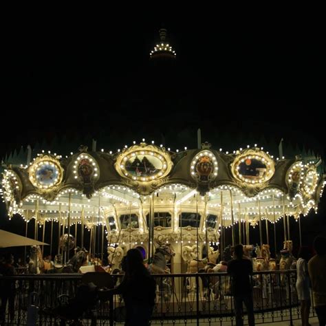 Where To See Lights & Light Displays | Enjoy OC