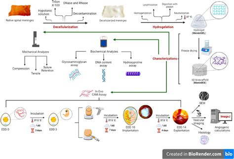 Image result for Arduino Methodolgoy