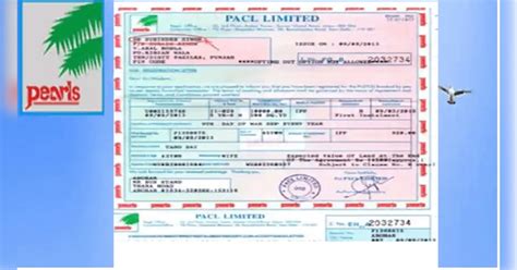 PACL Chit Fund Refund 2022 update Pearls investors have to submit ...