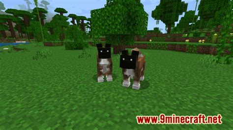 Image result for Copious Dogs Mod Install 1 7 10