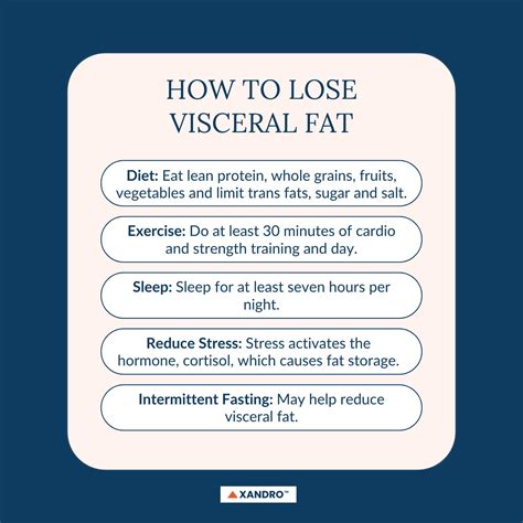The Different Types of Body Fat - Xandro Lab