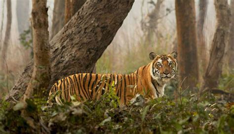 7 Places You Must Visit in South India - lifeberrys.com