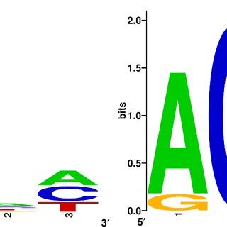 WebLogo 的图像结果
