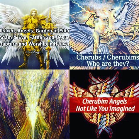 Cherubs And Seraphims