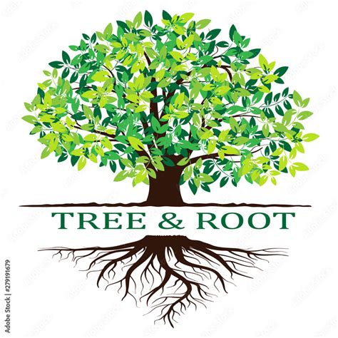 Tree Vector 的图像结果