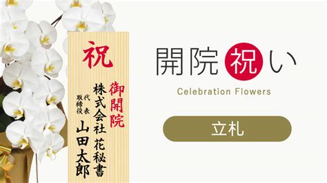 Comparing Algorithm Example に対する画像結果