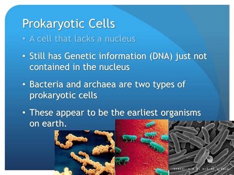 Image result for Cell Introduction