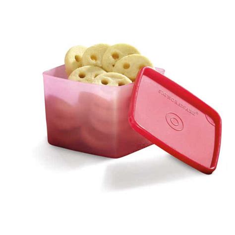 Fridger Fresh (Big)_850 ml. – Signoraware