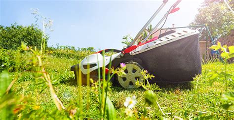Come scegliere il tosaerba migliore per il tuo prato  