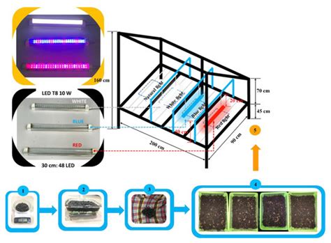 Narrow-Band Light-Emitting Diodes (LEDs) Effects on Sunflower ...