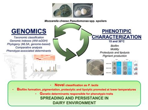 Genomic Analysis of Three Cheese-Borne Pseudomonas lactis with Biofilm ...