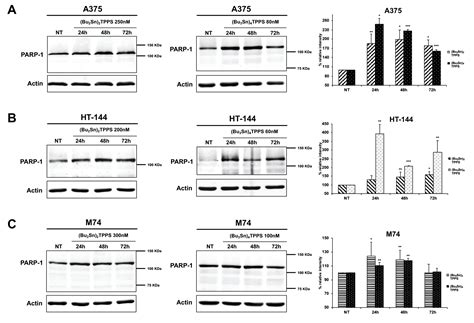 Dibutyltin(IV) and Tributyltin(IV) Derivatives of meso-Tetra(4 ...