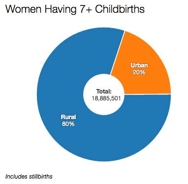 Nineteen Million Women in India Have Given Birth to Seven or More Children