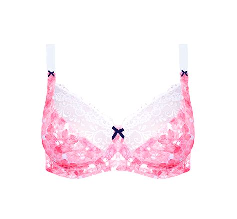 Pink Bra Visuals, Sheer Lingerie, Delicate Underwear Free PNG