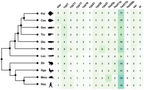 The Comparative Survey of Coordinated Regulation of Steroidogenic ...