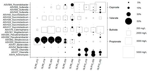 Direct Conversion of Food Waste Extract into Caproate: Metagenomics ...