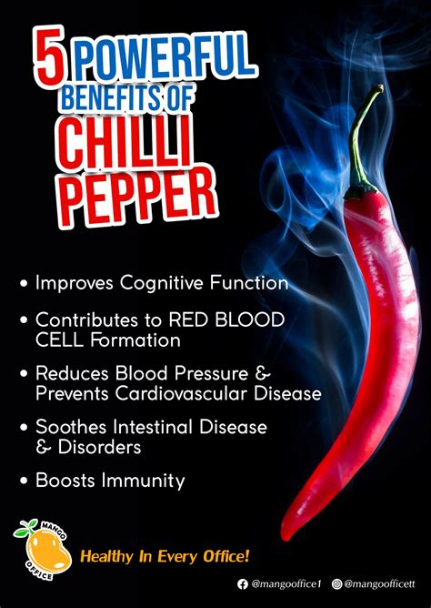Chili Pepper Nutritional Benefits at Terri Kent blog