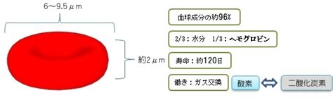 Image result for Routing Algorithm in MATLAB
