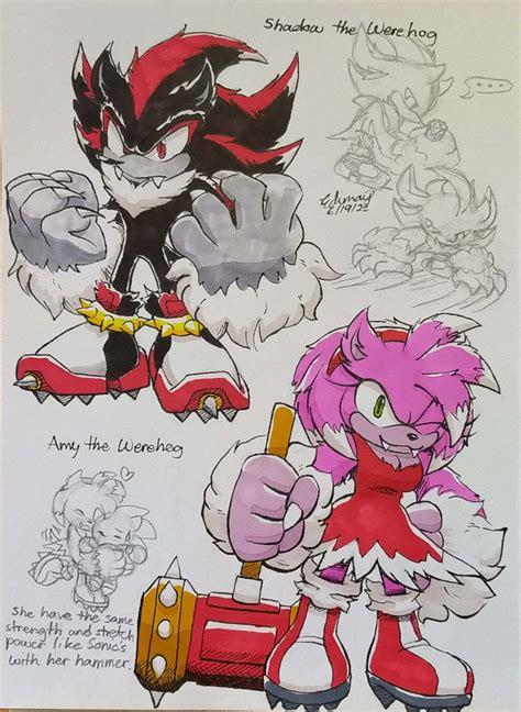 Werehog Shadow and Amy | Shadow and amy, Hedgehog art, Sonic heroes