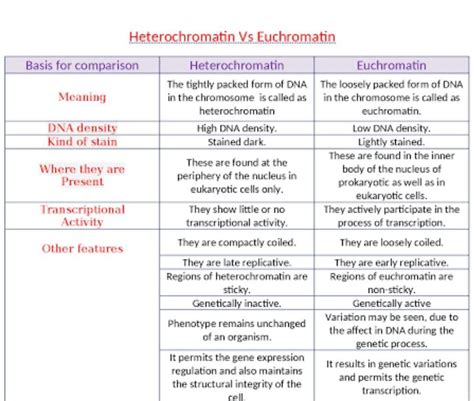 Difference Between Euchromatin & Hetrochromatin.─────── ───────Plz ...