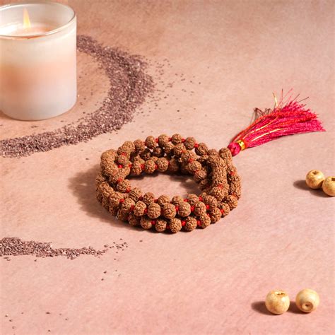Rudraksha Mala (Chikna / Pathari Mala) – Rishi Rudraksh
