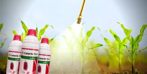 Calaris Xtra | Syngenta