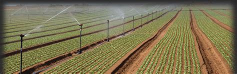 Jain Irrigation Systems Ltd.