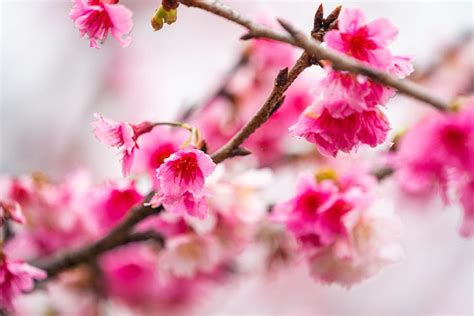 Image result for Practice Test Examples