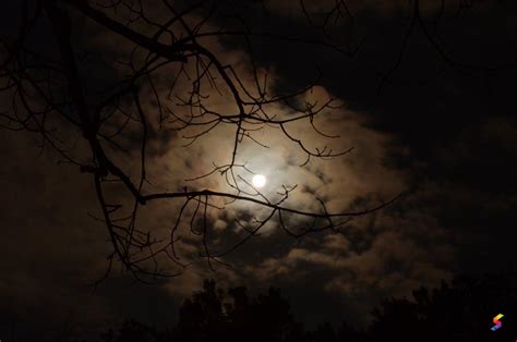 Define Eerie, Eerie Meaning, Eerie Examples, Eerie Synonyms, Eerie ...