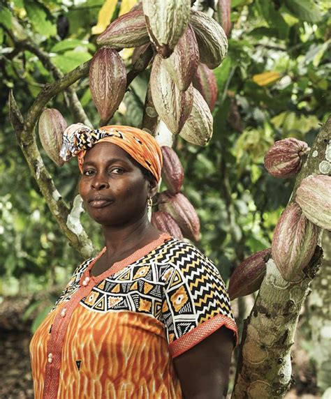 Image result for Cocoa API