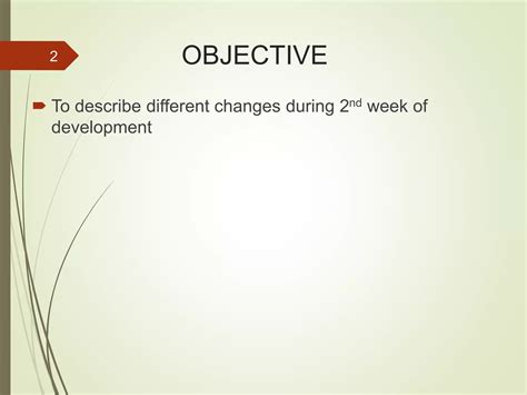 Image result for 2nd Week of Development