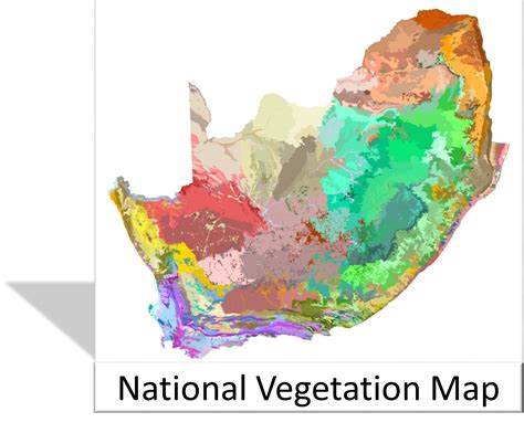 Natural Vegetation Of Africa