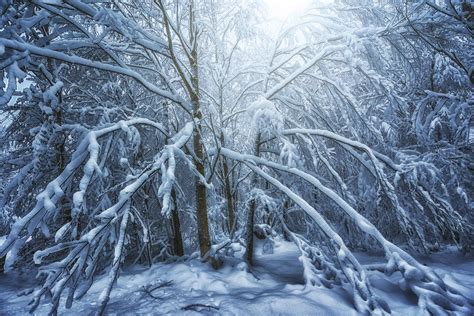 Nature 的图像结果