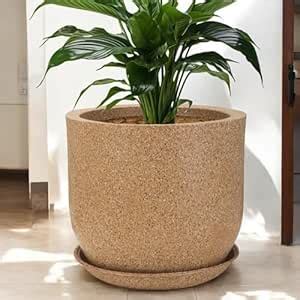 GTB Jaguar Pots for Plants Highly Durable Polymers Lightweight Indoor ...