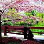 Image result for Spring Time Art Background